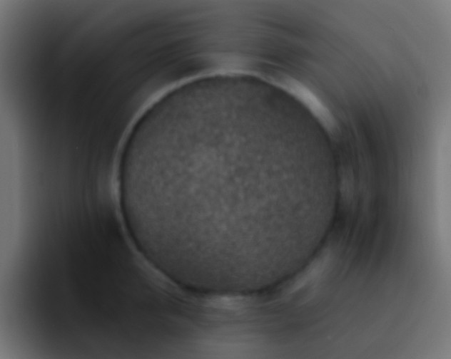 X0000093170950200710031501