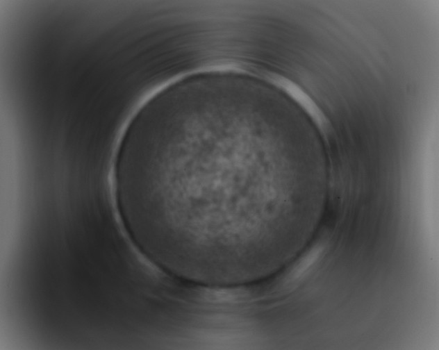 X0000093170951200710031501