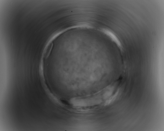 X0000093170952200710031501