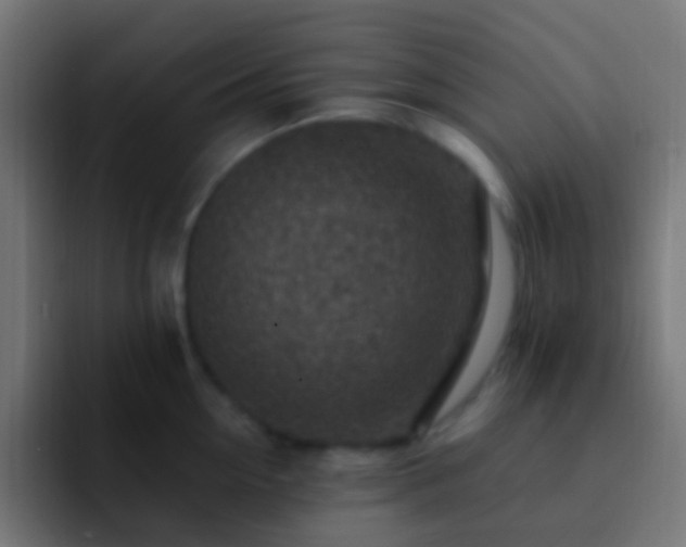 X0000093170954200710031501