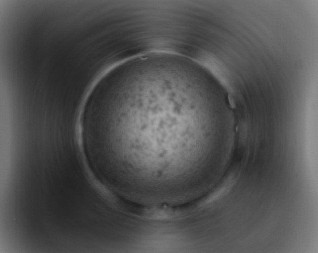 X0000093170955200710031501