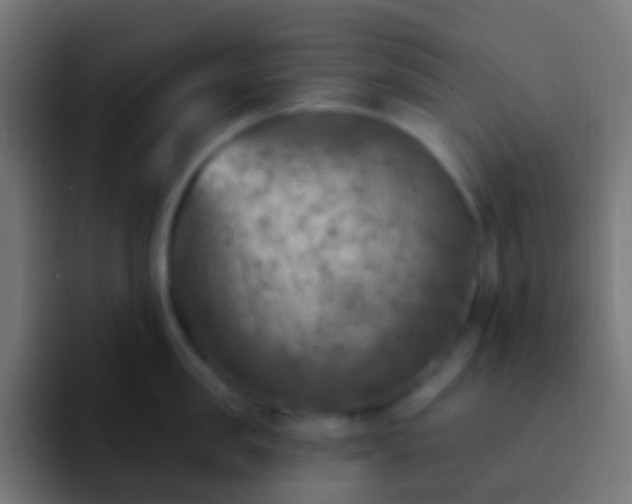 X0000093170957200710031501