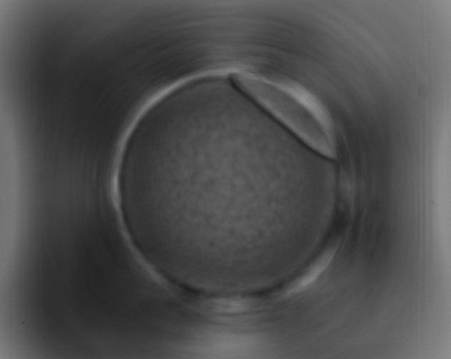 X0000093170959200710031501