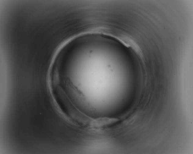 X0000093170960200710031501