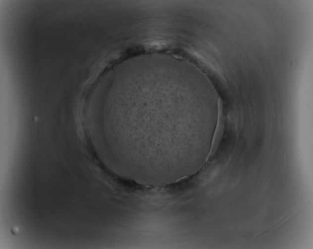 X0000093170961200710031501