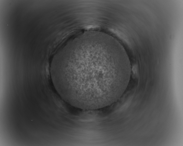 X0000093170963200710031501