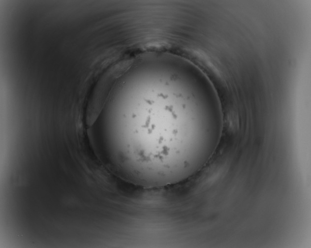 X0000093170964200710031501