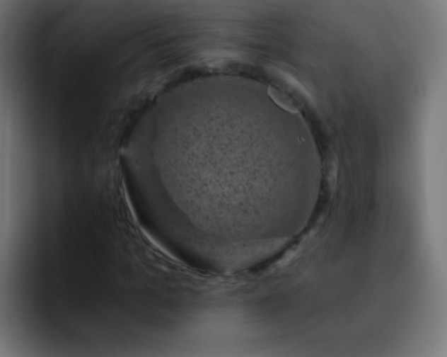 X0000093170965200710031501