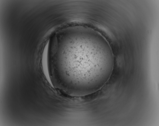 X0000093170968200710031501