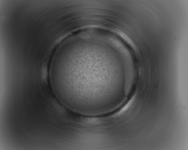 X0000093170969200710031501