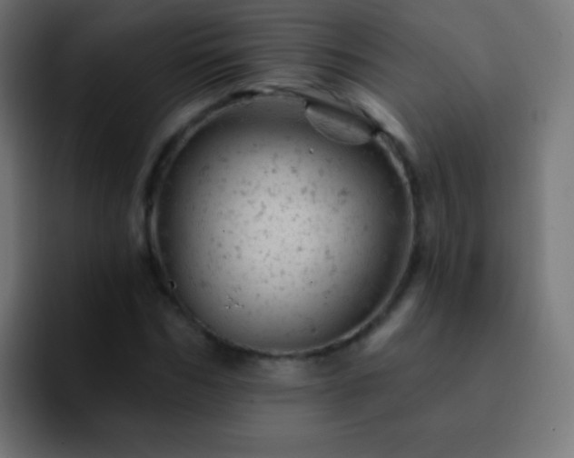 X0000093170970200710031501