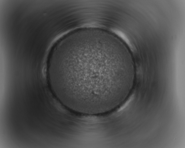 X0000093170971200710031501