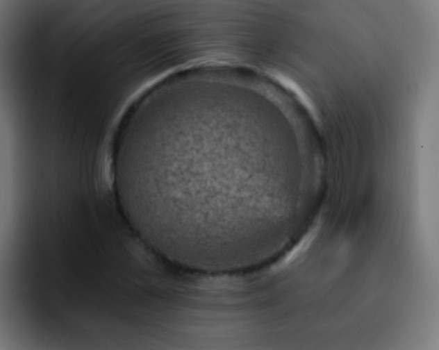 X0000093170973200710031501