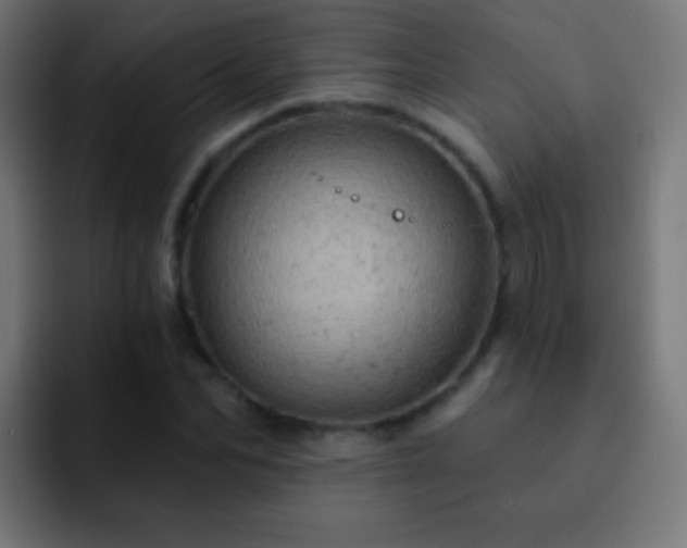 X0000093170974200710031501