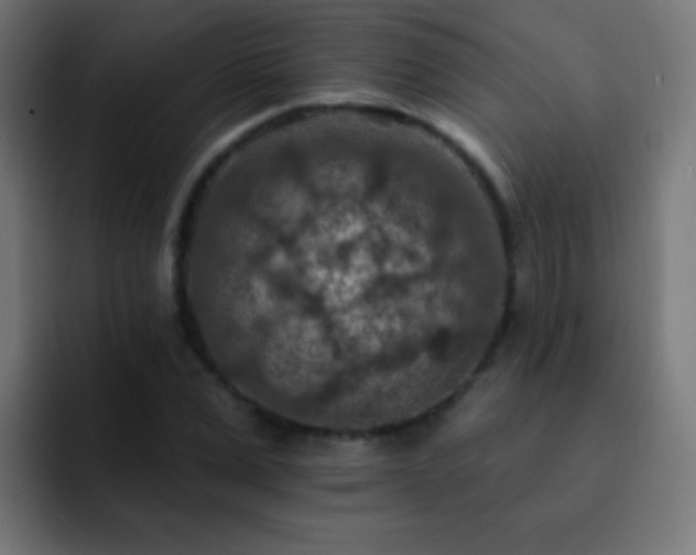 X0000093170975200710031501