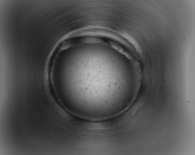 X0000093170976200710031501