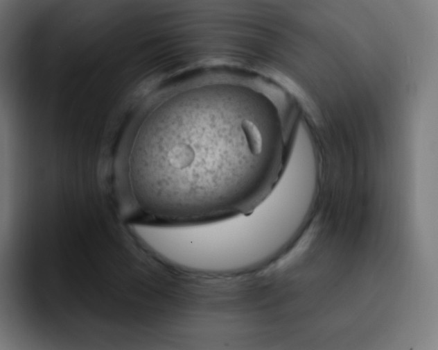 X0000093170977200710031501