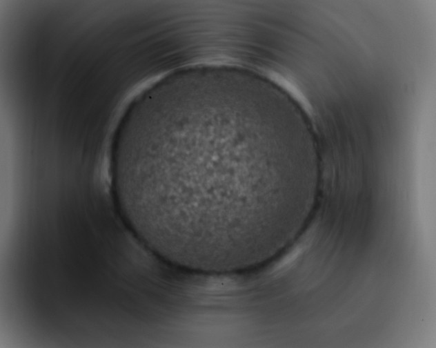 X0000093170979200710031501