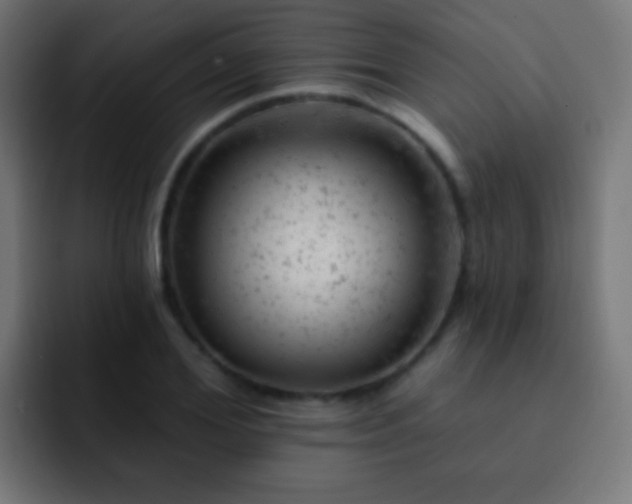 X0000093170980200710031501