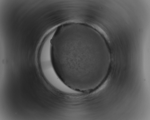 X0000093170981200710031501