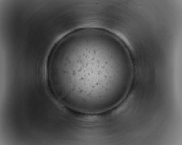 X0000093170982200710031501