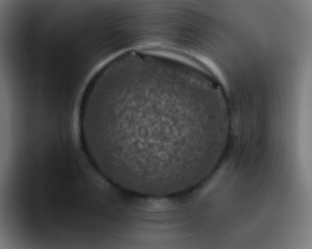 X0000093170983200710031501