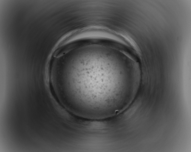 X0000093170984200710031501