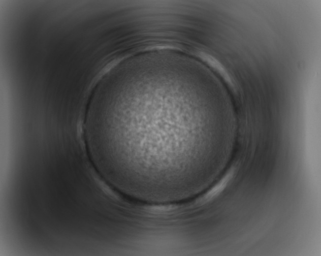 X0000093170985200710031501