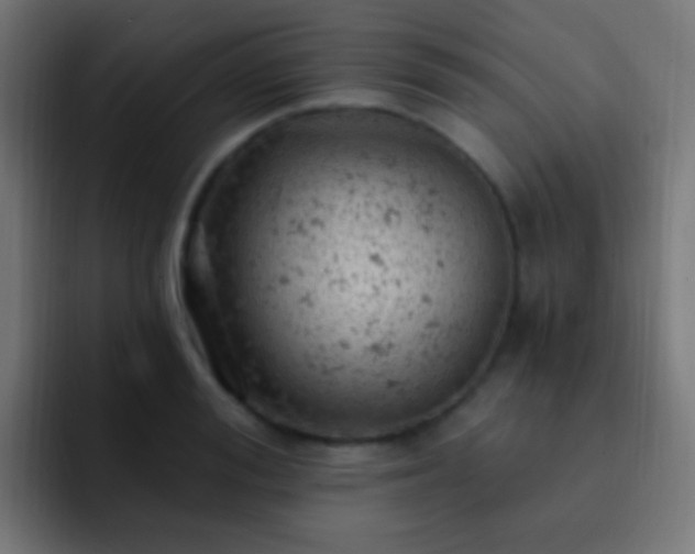 X0000093170988200710031500