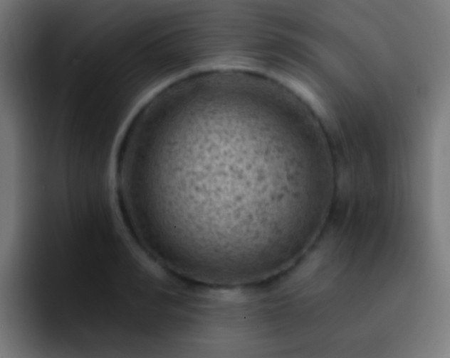 X0000093170990200710031500