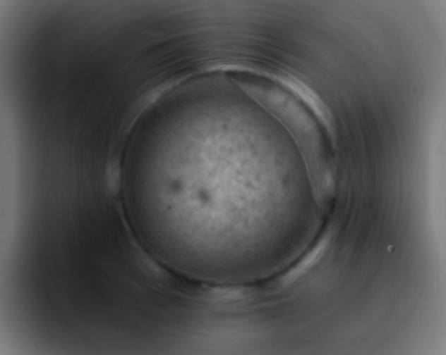 X0000093170993200710031500