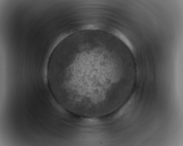 X0000093170994200710031500