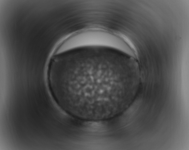 X0000093170995200710031500