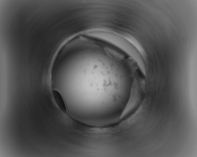 X0000093170996200710031500