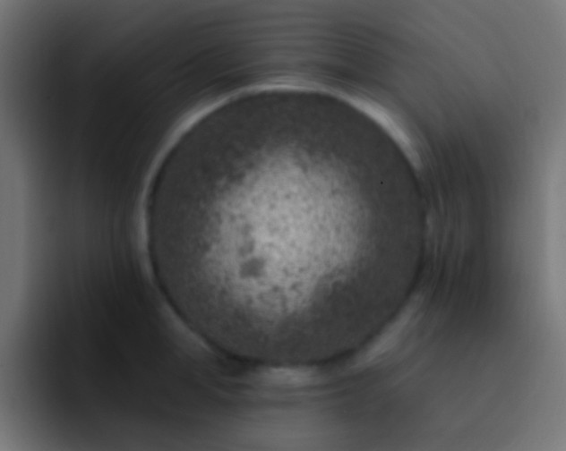 X0000093170998200710031500
