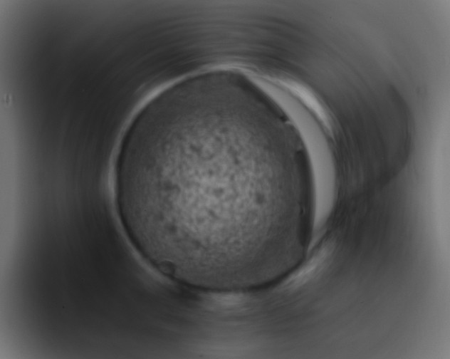 X0000093170999200710031500