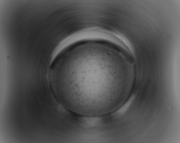 X0000093171001200710031500