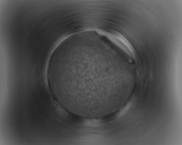 X0000093171002200710031500
