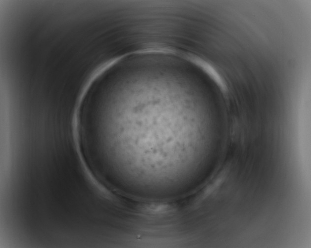 X0000093171003200710031500