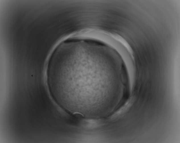 X0000093171005200710031500