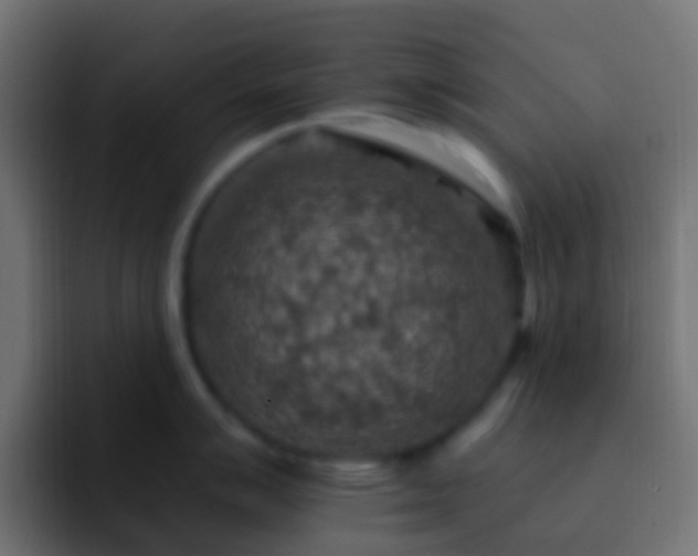 X0000093171007200710031500