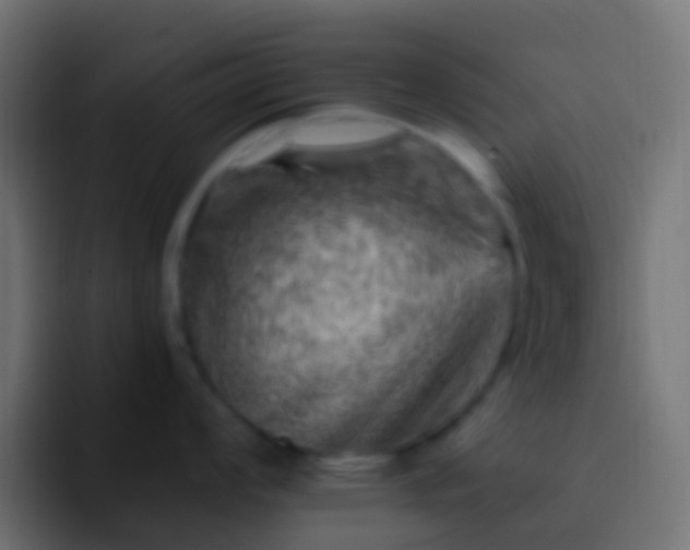 X0000093171008200710031500