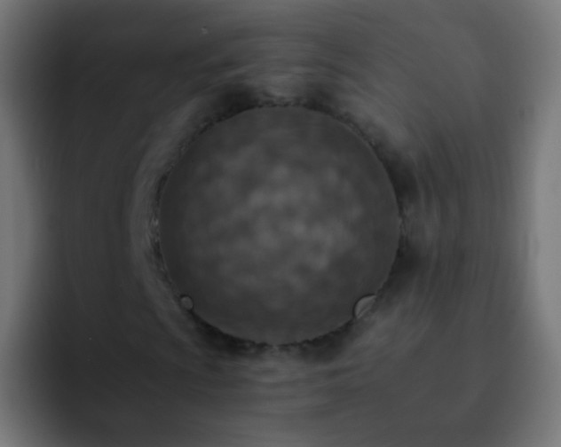 X0000093171009200710031500