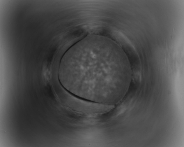 X0000093171010200710031500
