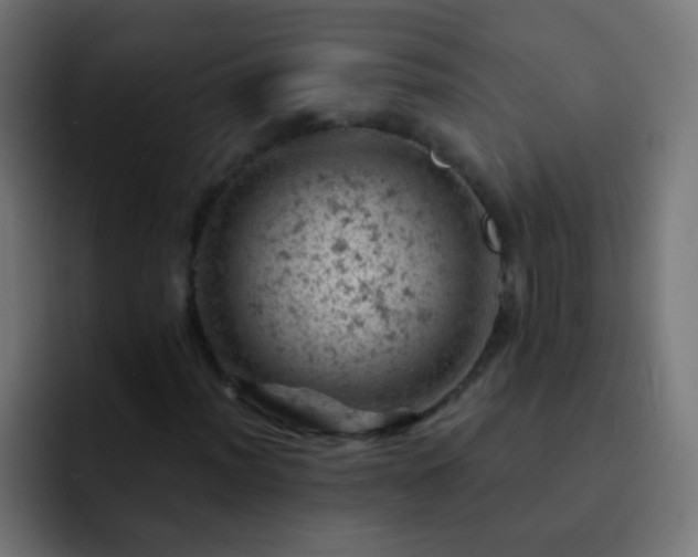 X0000093171012200710031500