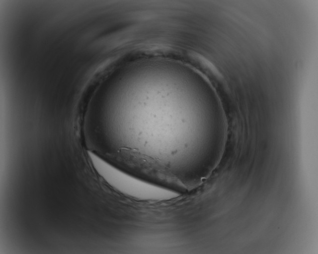 X0000093171016200710031500