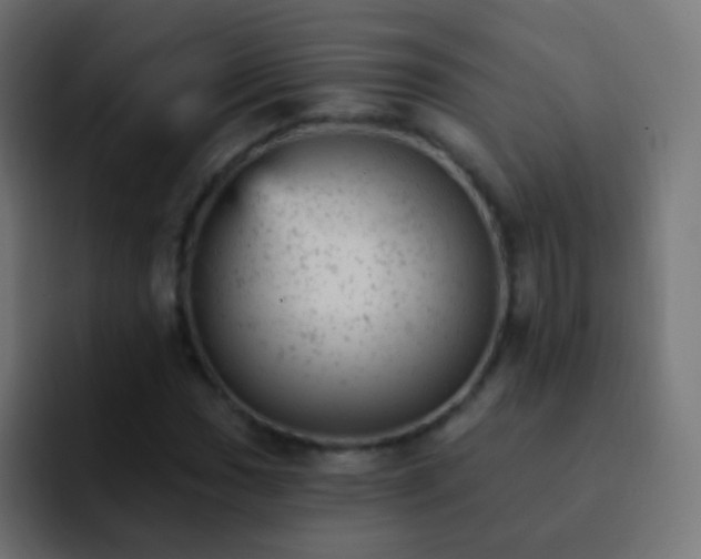 X0000093171017200710031500