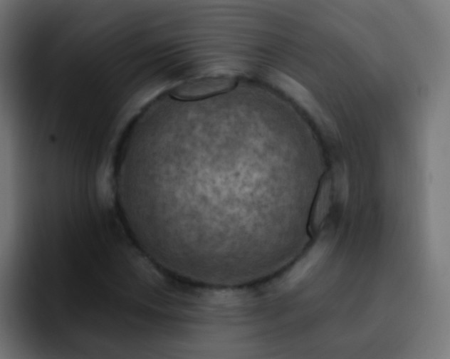 X0000093171018200710031500