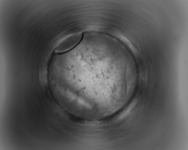 X0000093171019200710031500
