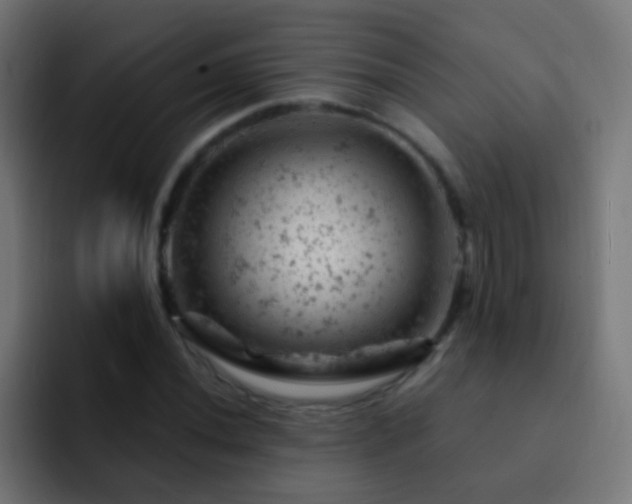 X0000093171020200710031500